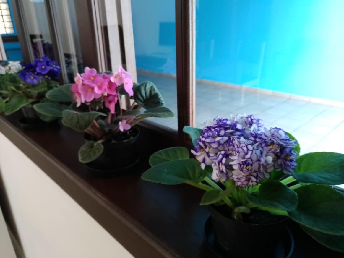 Hostel Villa Pomerania Pomerode Dış mekan fotoğraf